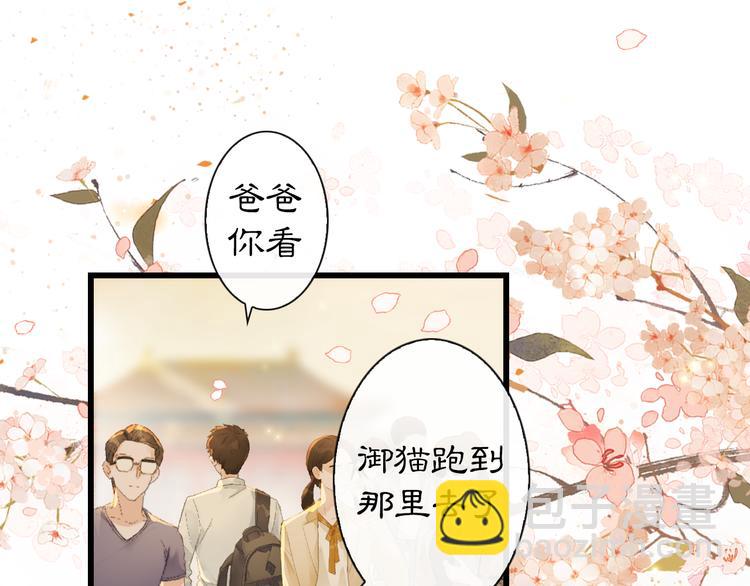 第1话 御猫的神秘生活(1/3)-第4话