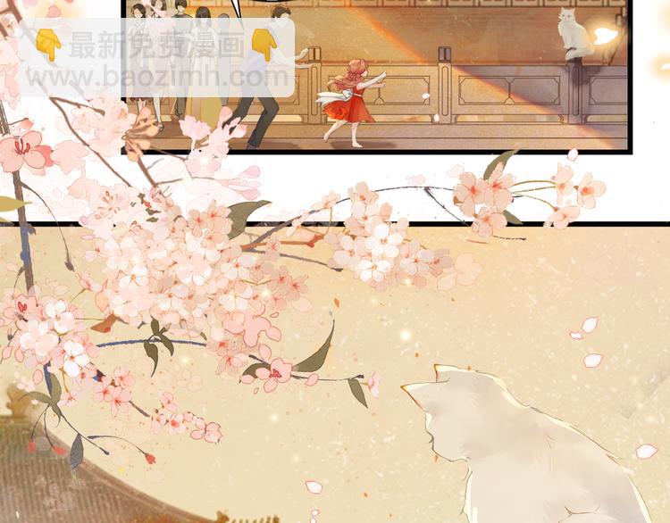 第1话 御猫的神秘生活(1/3)-第4话