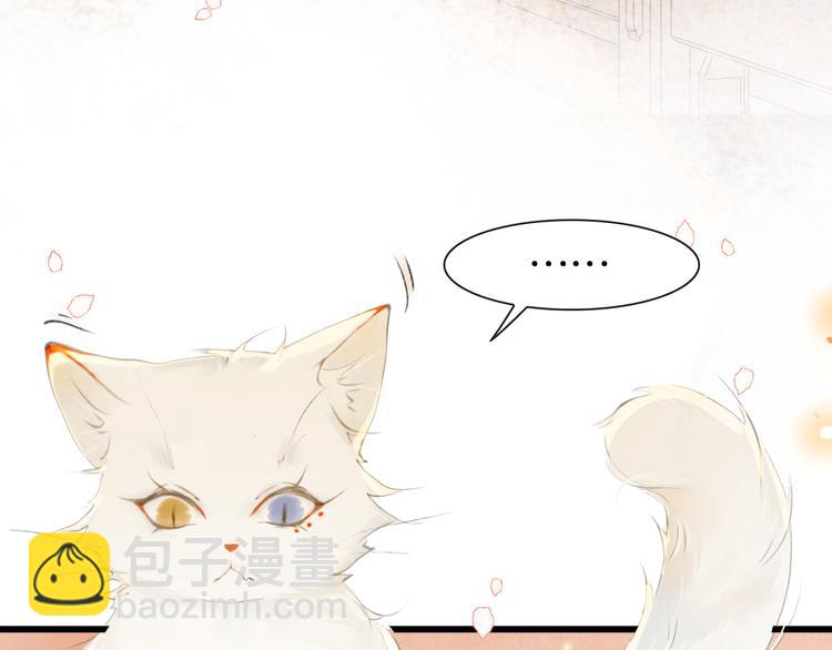 第1话 御猫的神秘生活(1/3)-第4话