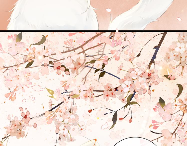 第1话 御猫的神秘生活(1/3)-第4话