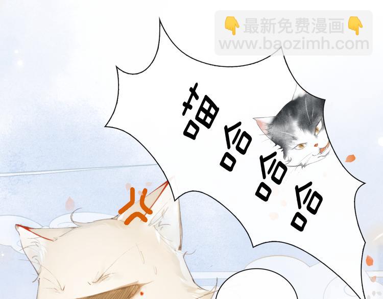 第1话 御猫的神秘生活(1/3)-第4话