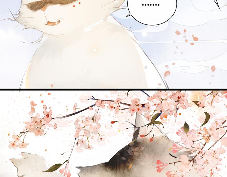 第1话 御猫的神秘生活(1/3)-第4话