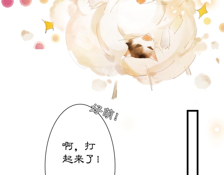 第1话 御猫的神秘生活(1/3)-第4话