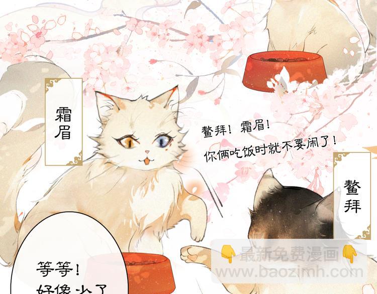 第1话 御猫的神秘生活(1/3)-第4话