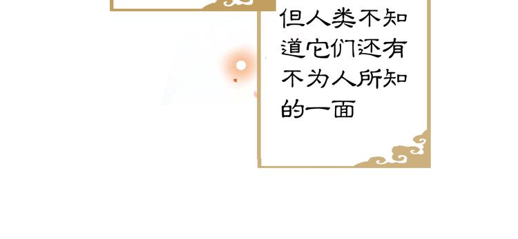 第1话 御猫的神秘生活(1/3)-第4话