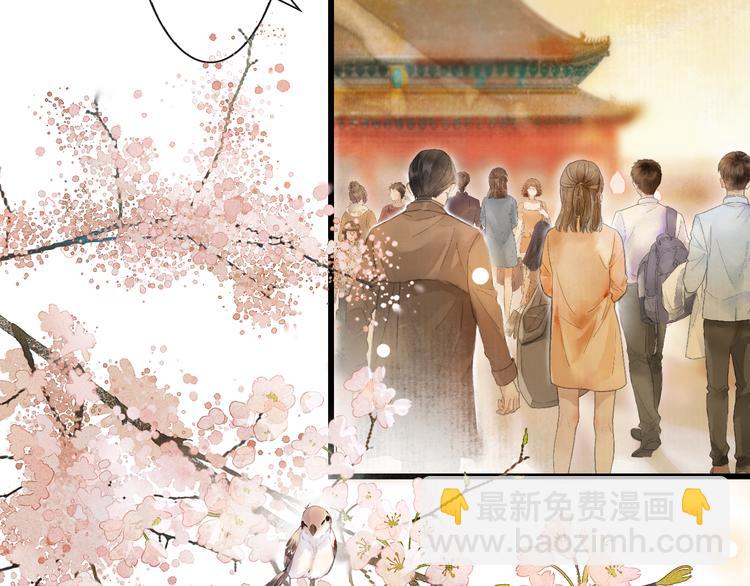 第1话 御猫的神秘生活(1/3)-第4话