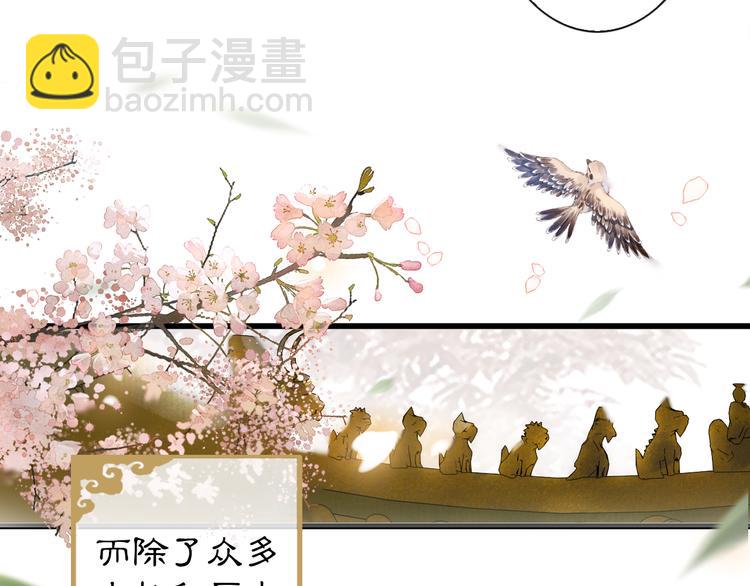 第1话 御猫的神秘生活(1/3)-第4话