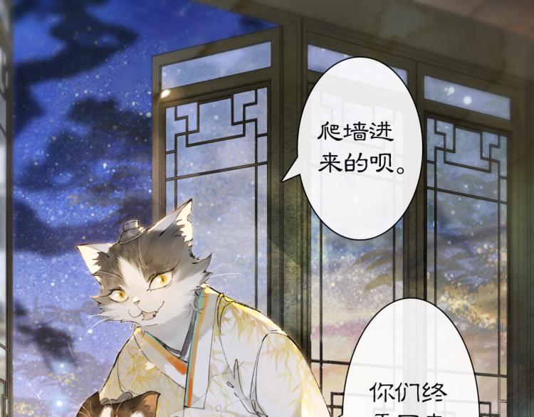 第9话 御喵会议！(1/2)-第58话