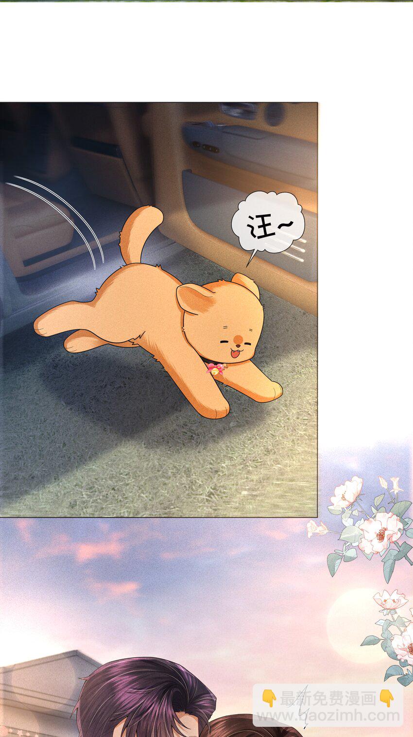 065 可爱的小东西~-第66话