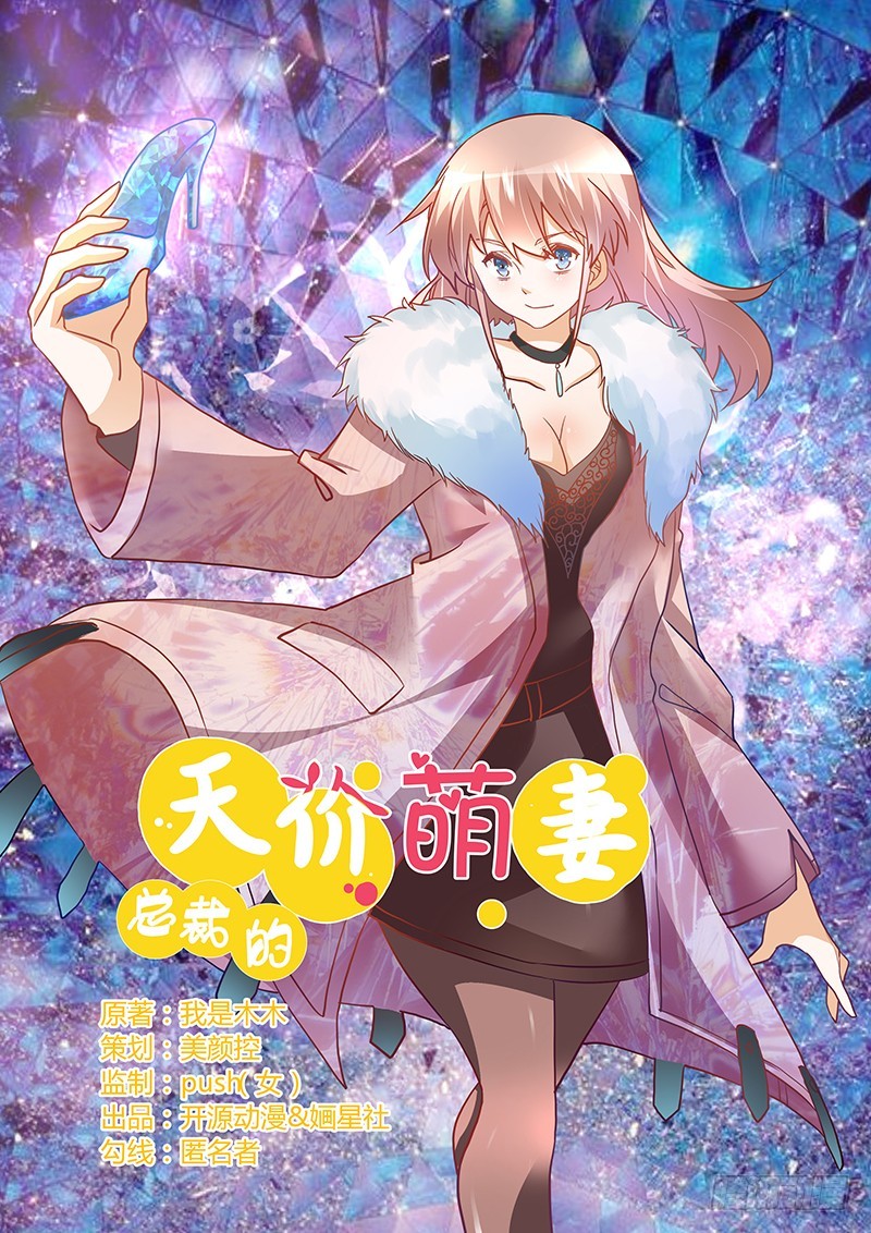 總裁的天價萌妻 - 028 舊恨新仇 - 1