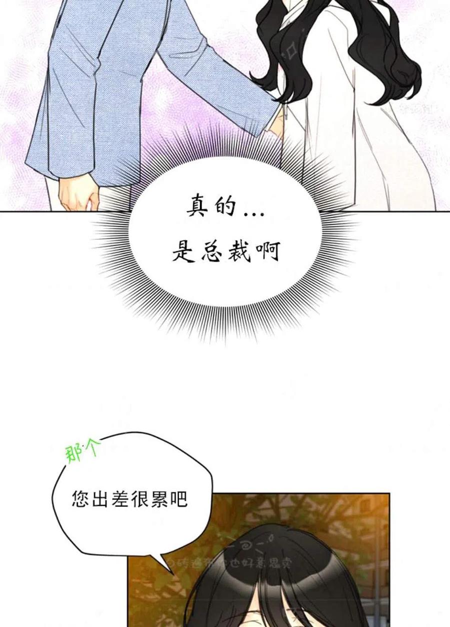 總裁的相親 - 97-98話(2/2) - 1