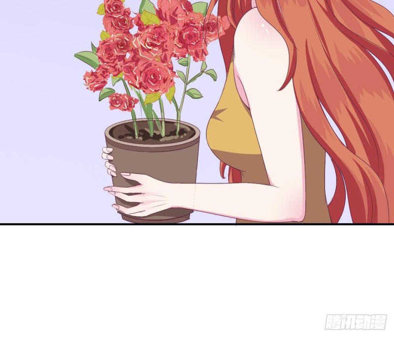 第23话  我的女人由我保护(1/2)-第26话