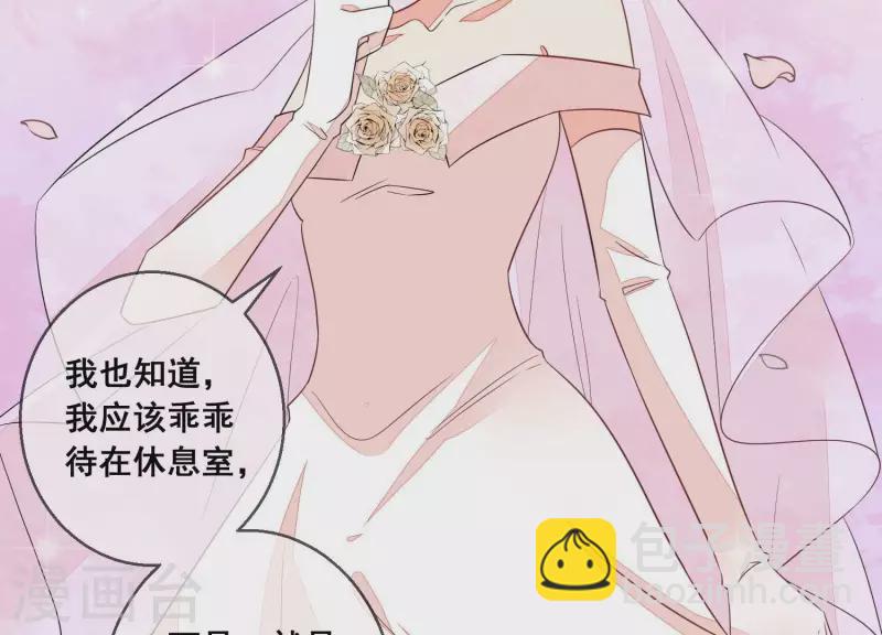 第64话 结婚典礼(1/2)-第64话