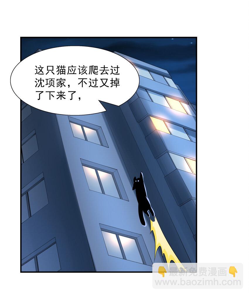 2 神秘猫女-第2话