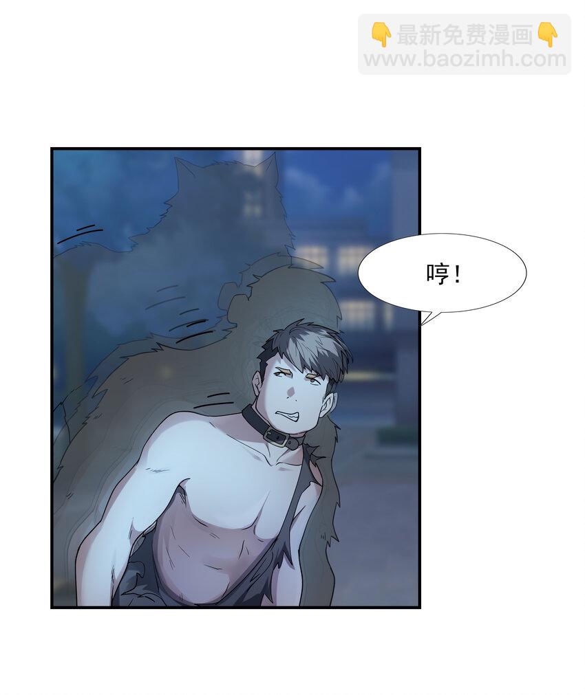 2 神秘猫女-第2话