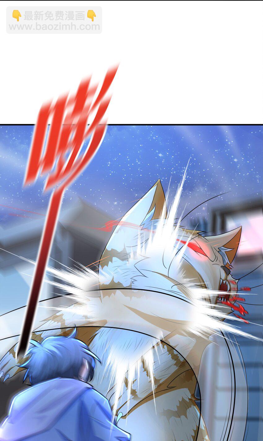 8 逗猫棒(1/2)-第8话