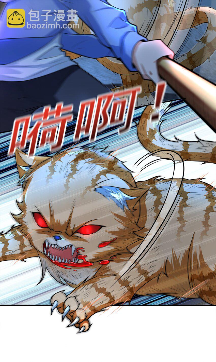 8 逗猫棒(1/2)-第8话