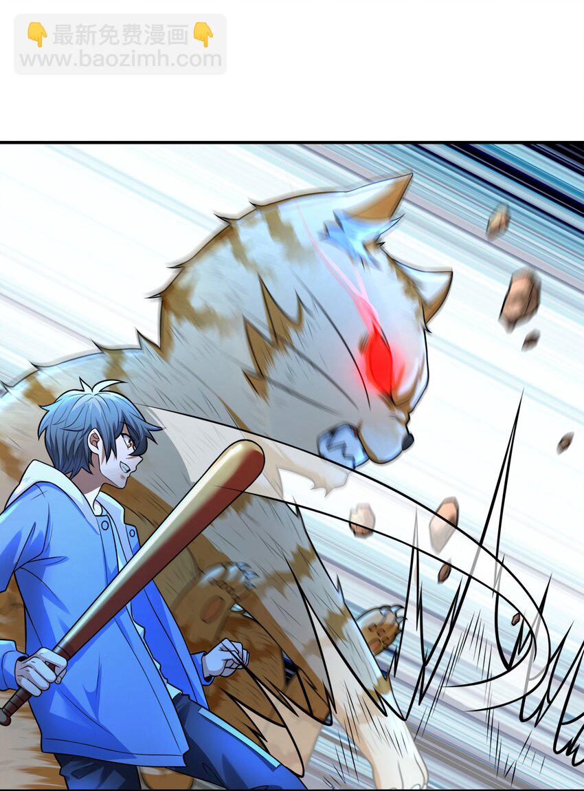 8 逗猫棒(1/2)-第8话