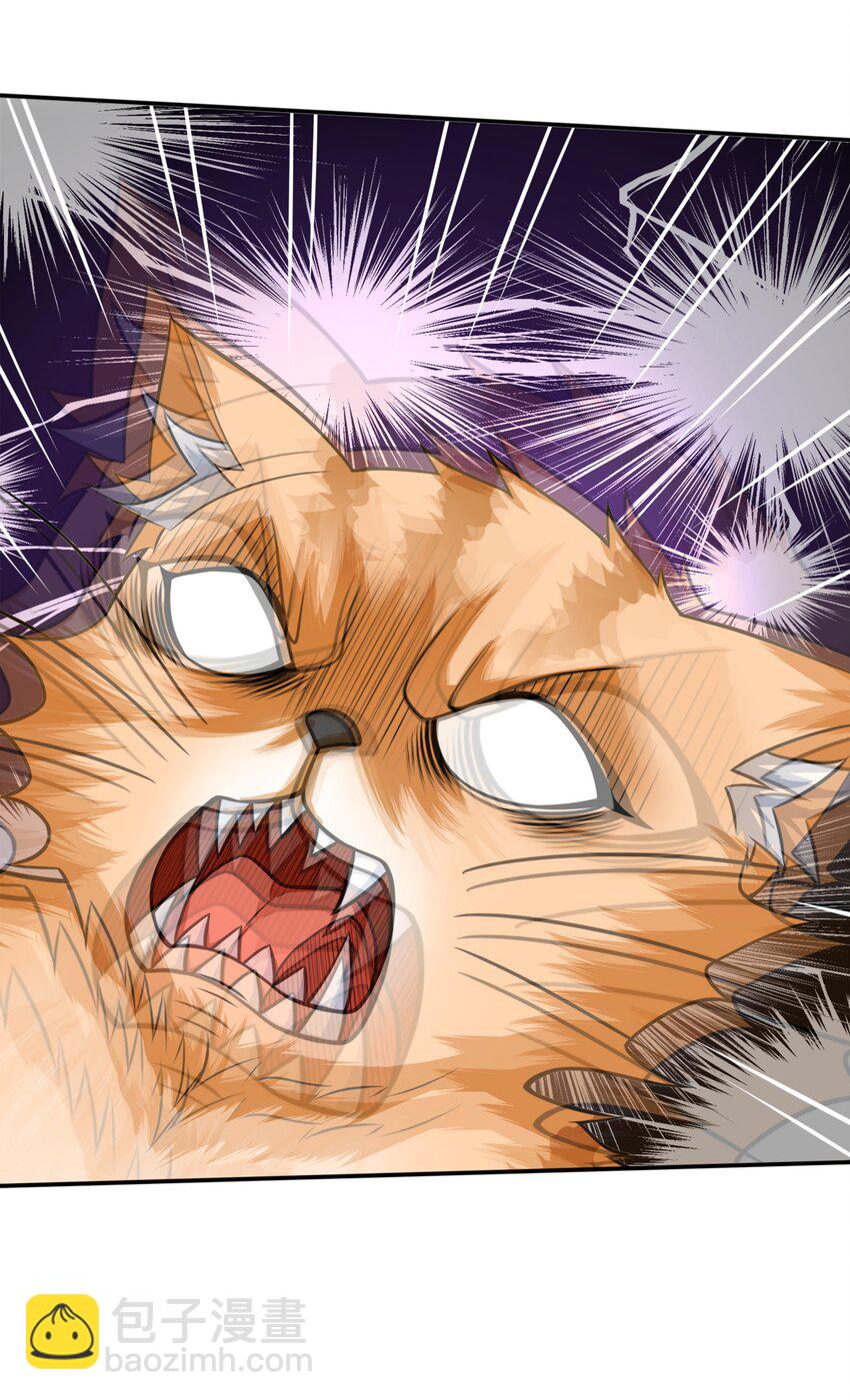 8 逗猫棒(1/2)-第8话