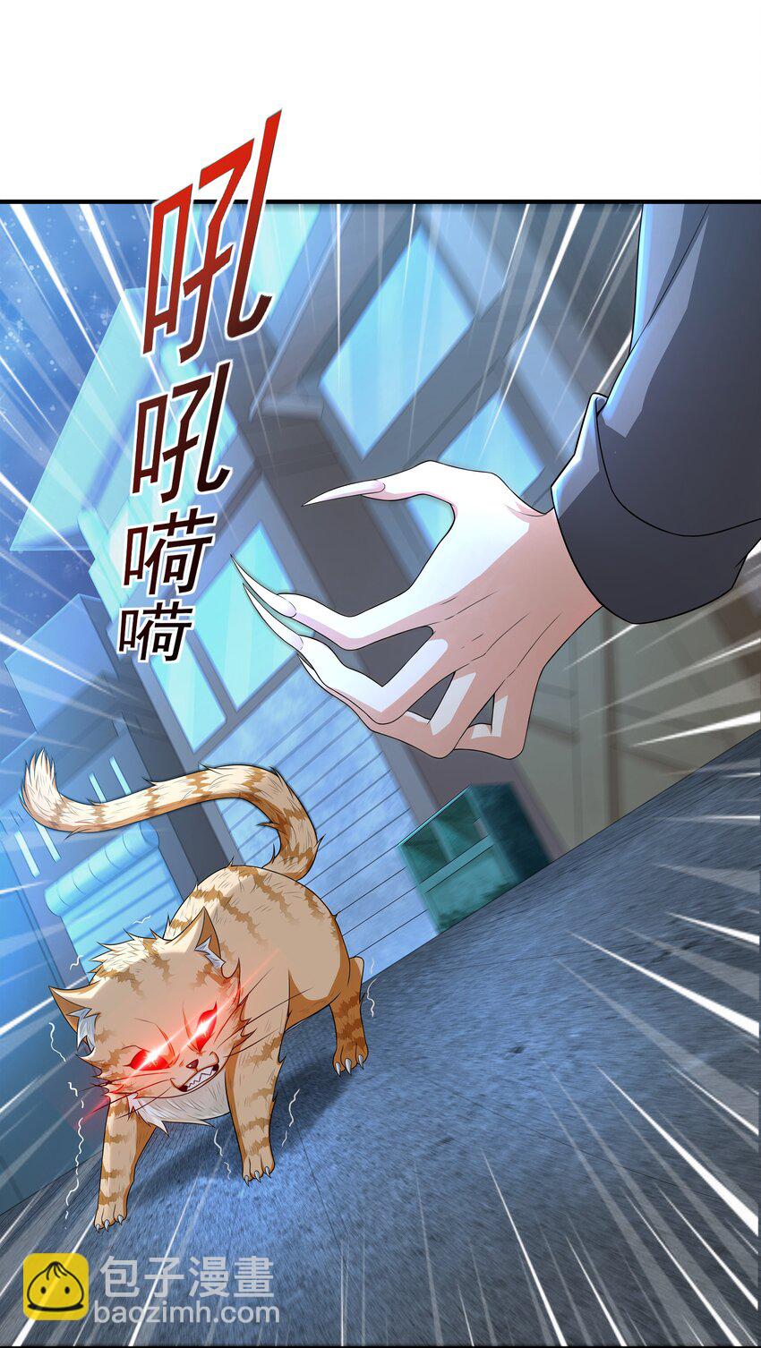 8 逗猫棒(1/2)-第8话