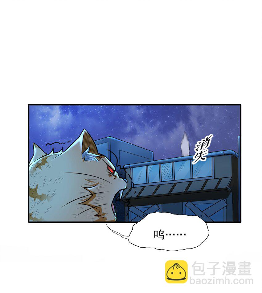 8 逗猫棒(1/2)-第8话