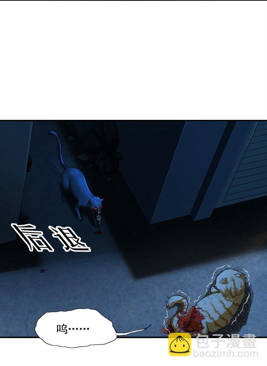 8 逗猫棒(1/2)-第8话