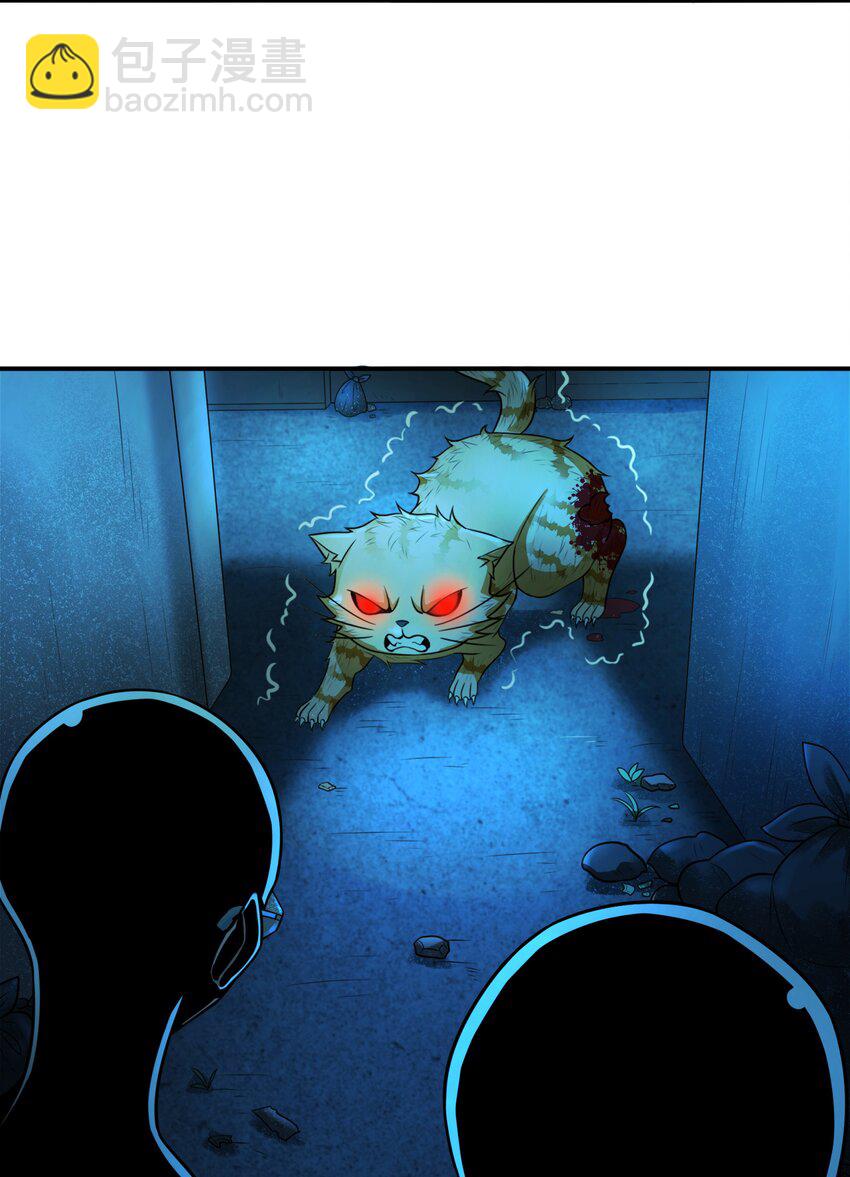 8 逗猫棒(1/2)-第8话