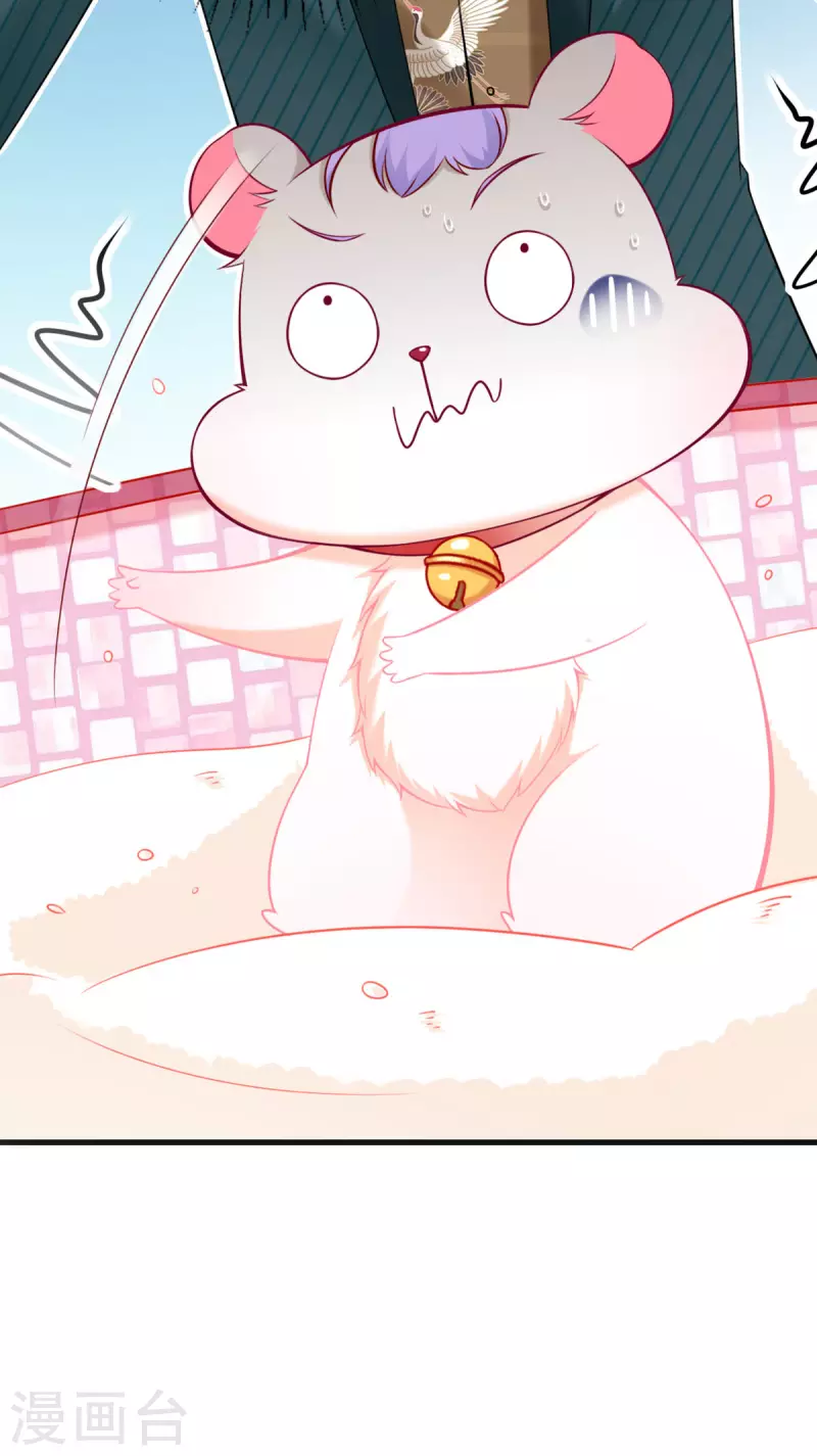 第13话 洗白白-第14话