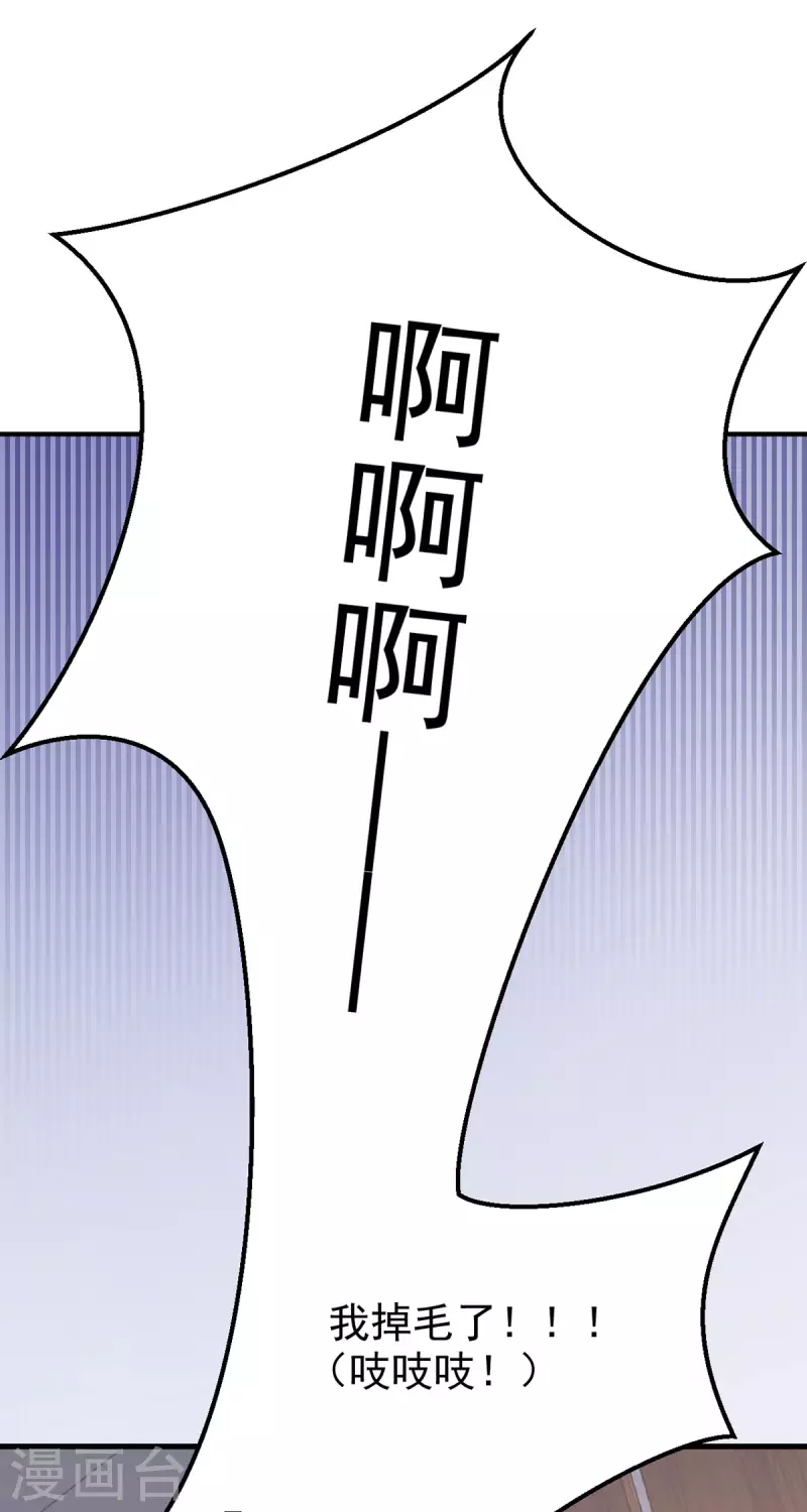 第33话 掉毛-第34话