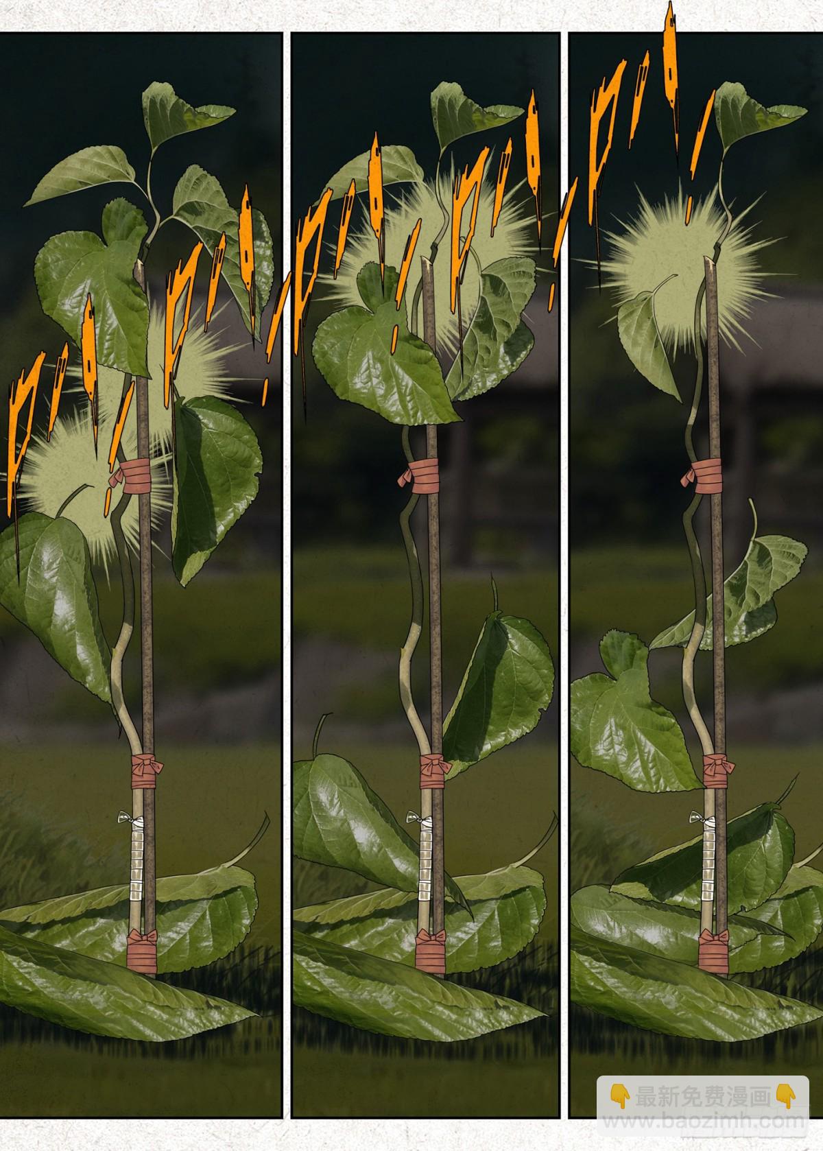 春桃的秘密-第30话