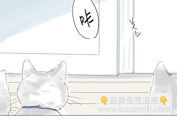 第34话(1/2)-第34话