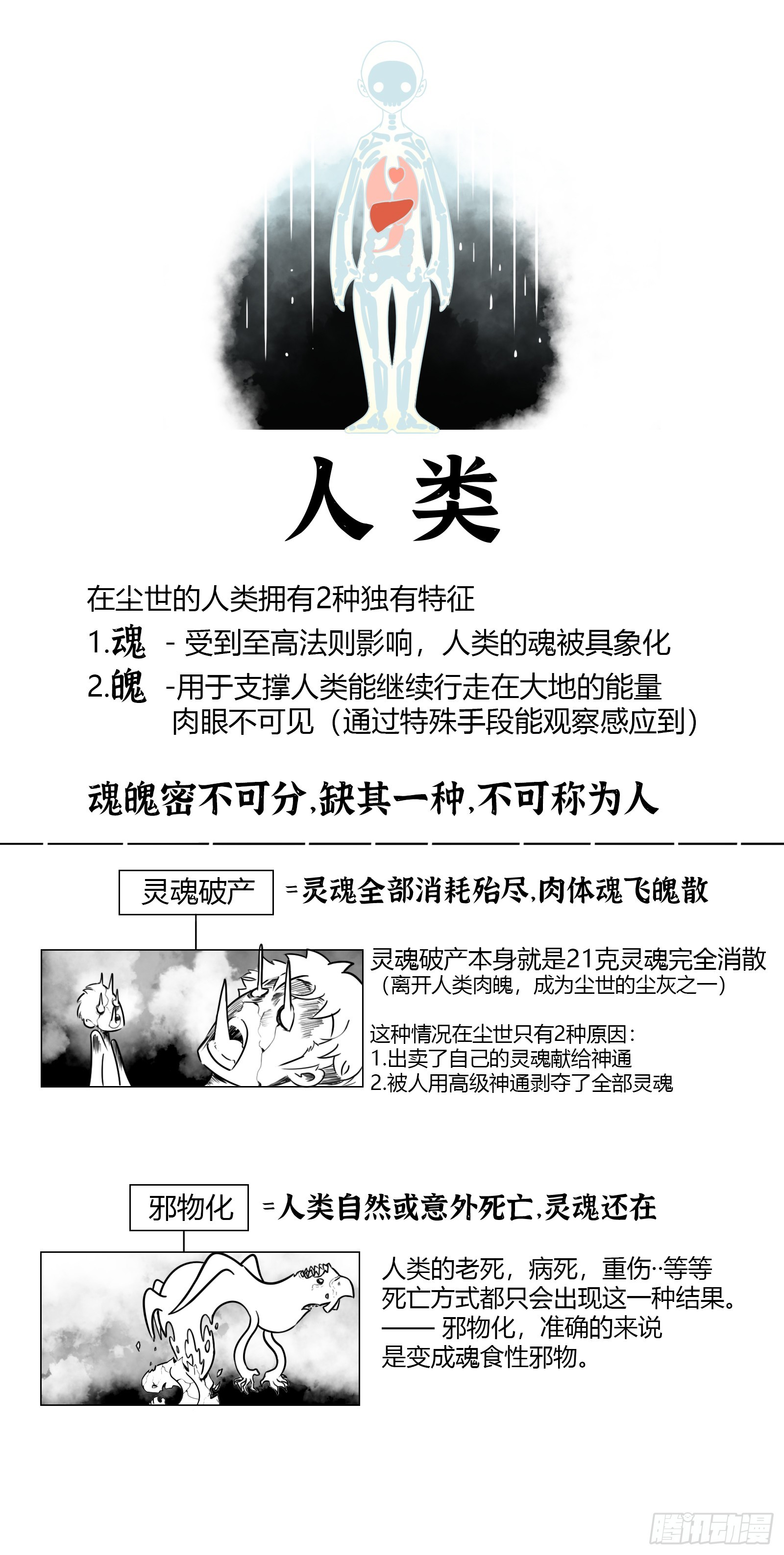 最後的21克 - 週年慶活動！+設定公佈（節選） - 1