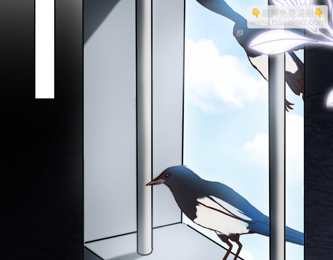 第81话 失踪的魔女(1/2)-第82话