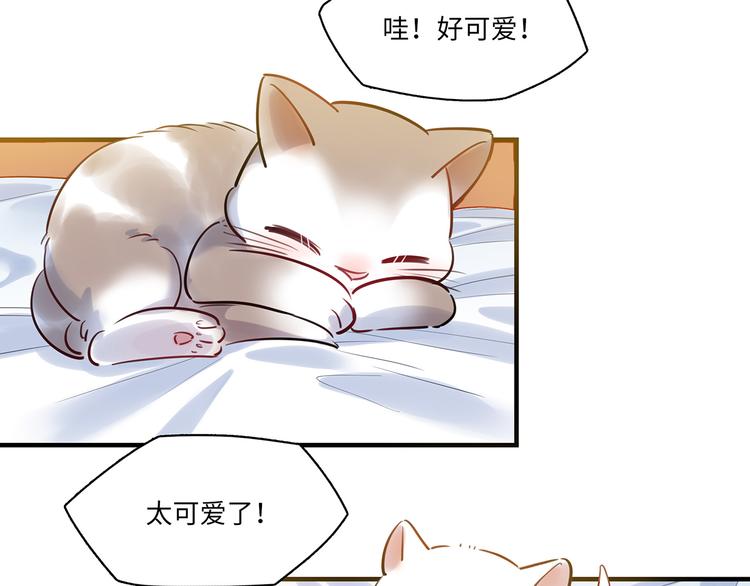 第31话 大橘为重(1/2)-第32话