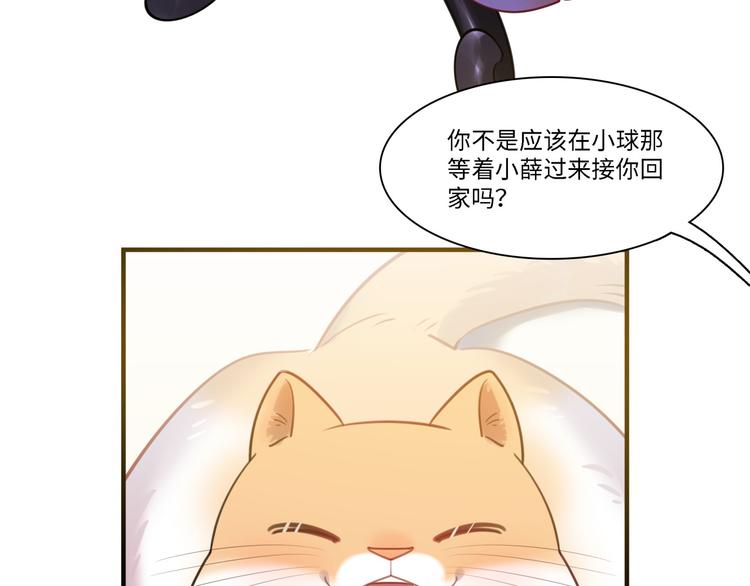 第33话 特别邀请(1/3)-第34话