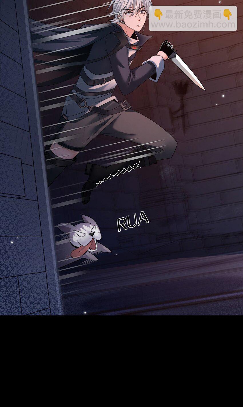 05 高阶喵狐兽(1/2)-第6话