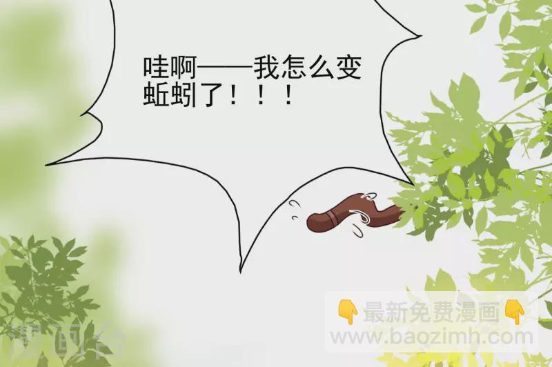 最強桃花運 - 第211話 沒有弱點就是最大的弱點？？? - 2