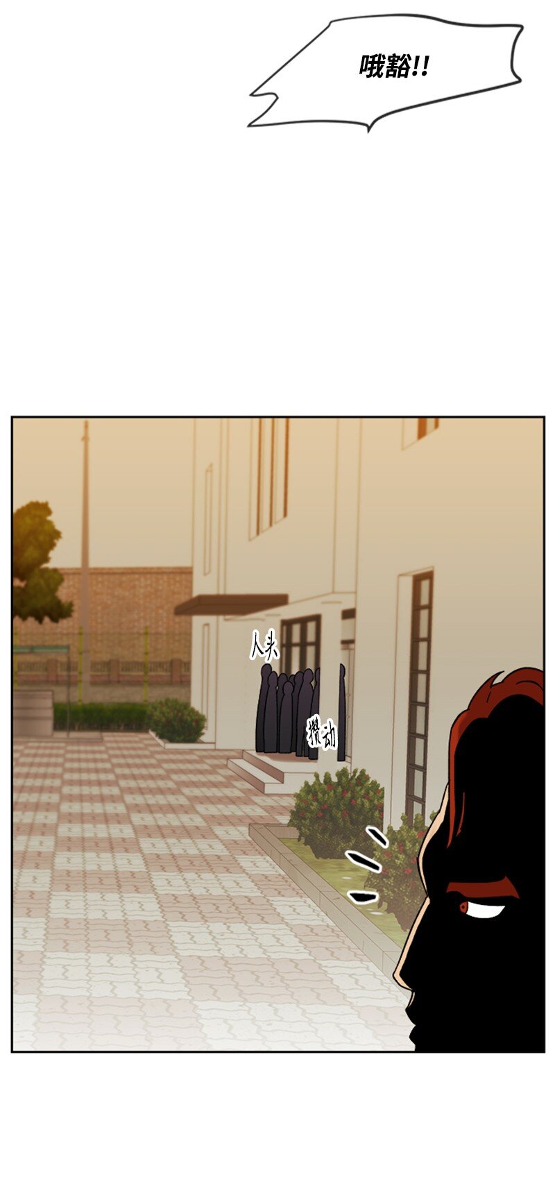 21 体育馆决斗(1/2)-第22话