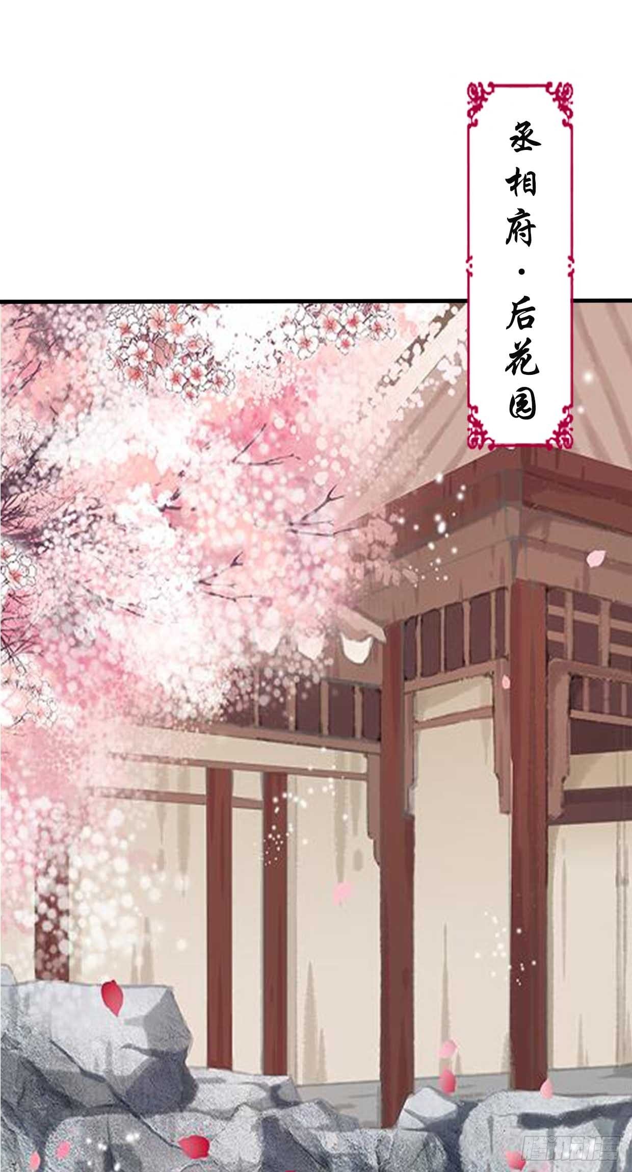 醉卧美人膝 - 17-先斩后奏！ - 5
