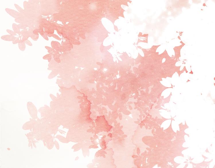 第32话 没能健康活下去，对不起(1/2)-第32话