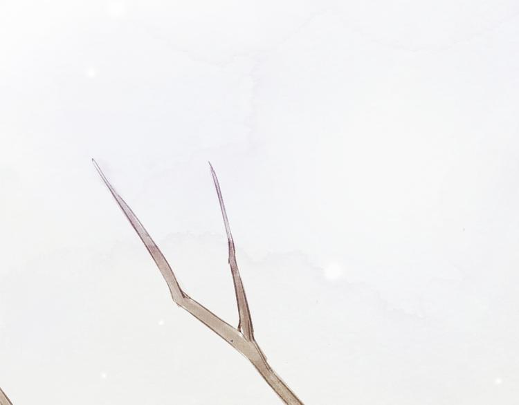 第36话 你嘴唇的温度(1/2)-第36话