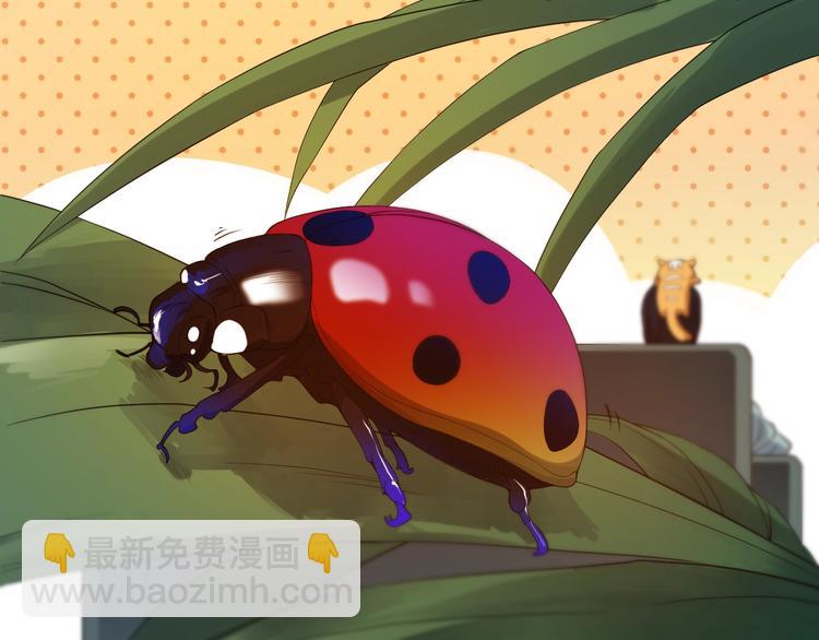 第19话 月刃&凰(1/3)-第20话