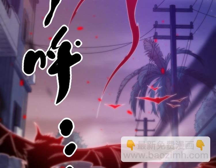 第49话 可爱小卜登擂台！(1/4)-第50话