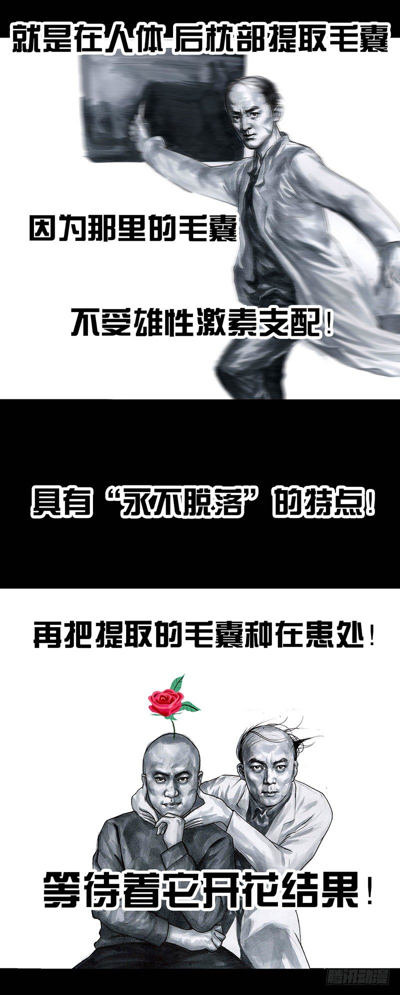 左手的世界 - 秃如其来(1/2) - 6