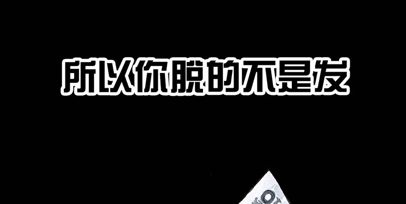 左手的世界 - 秃如其来(2/2) - 2