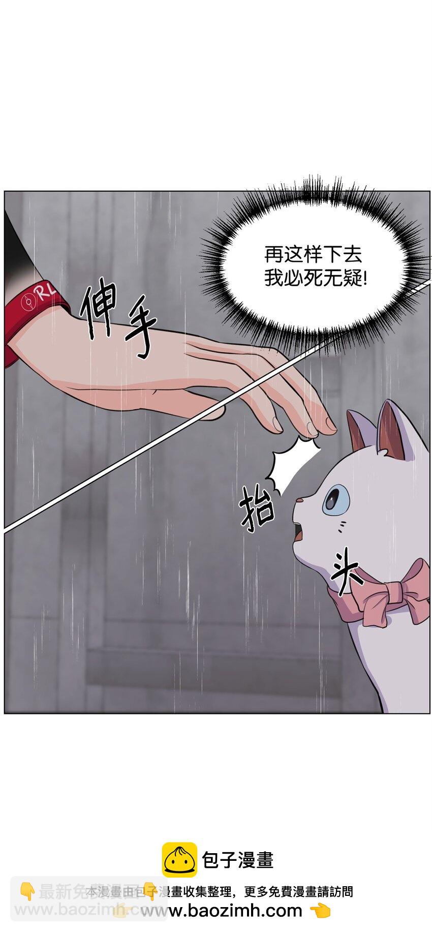 02 虐猫变态49