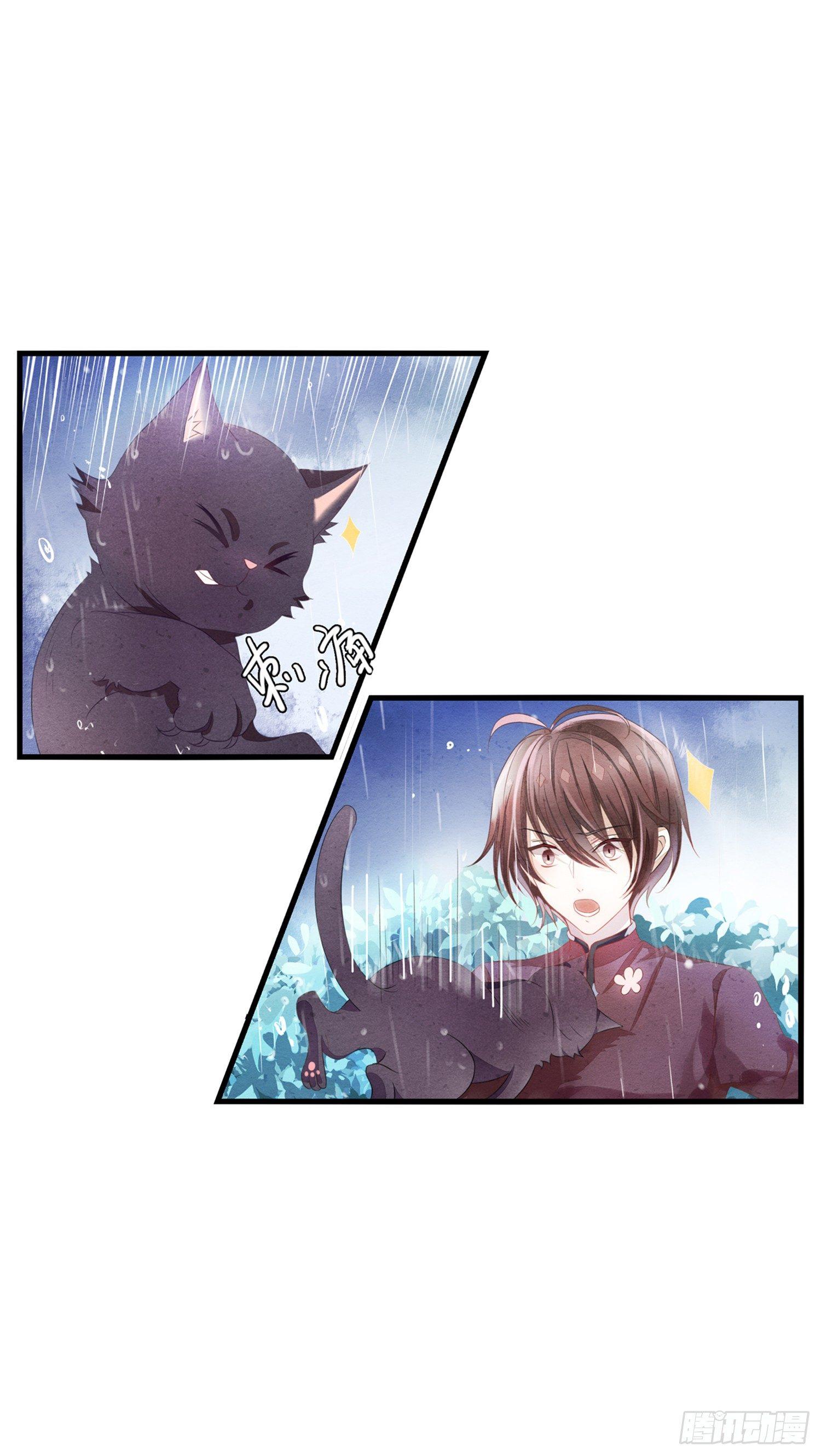 01 天降猫咪-第2话