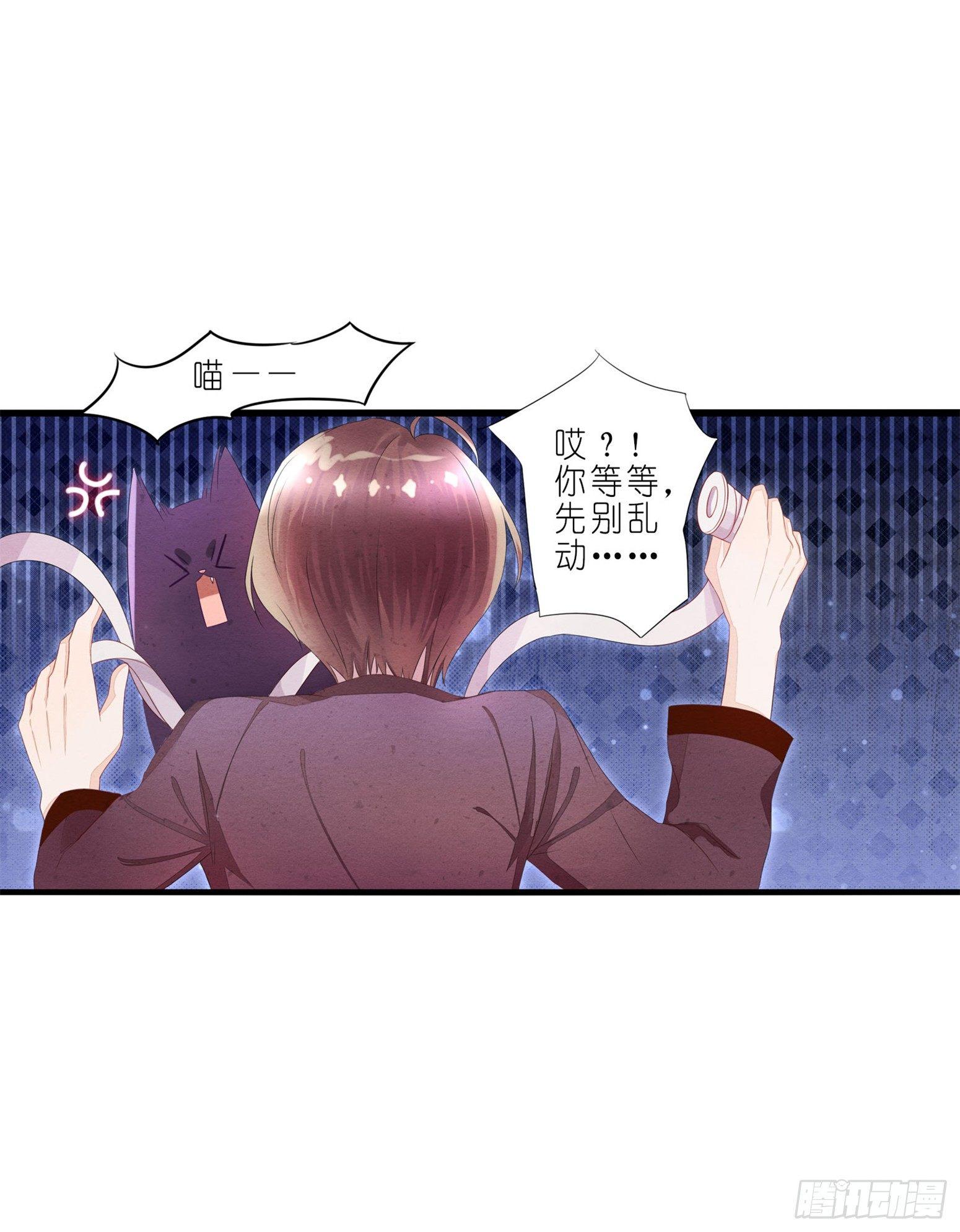 01 天降猫咪-第2话