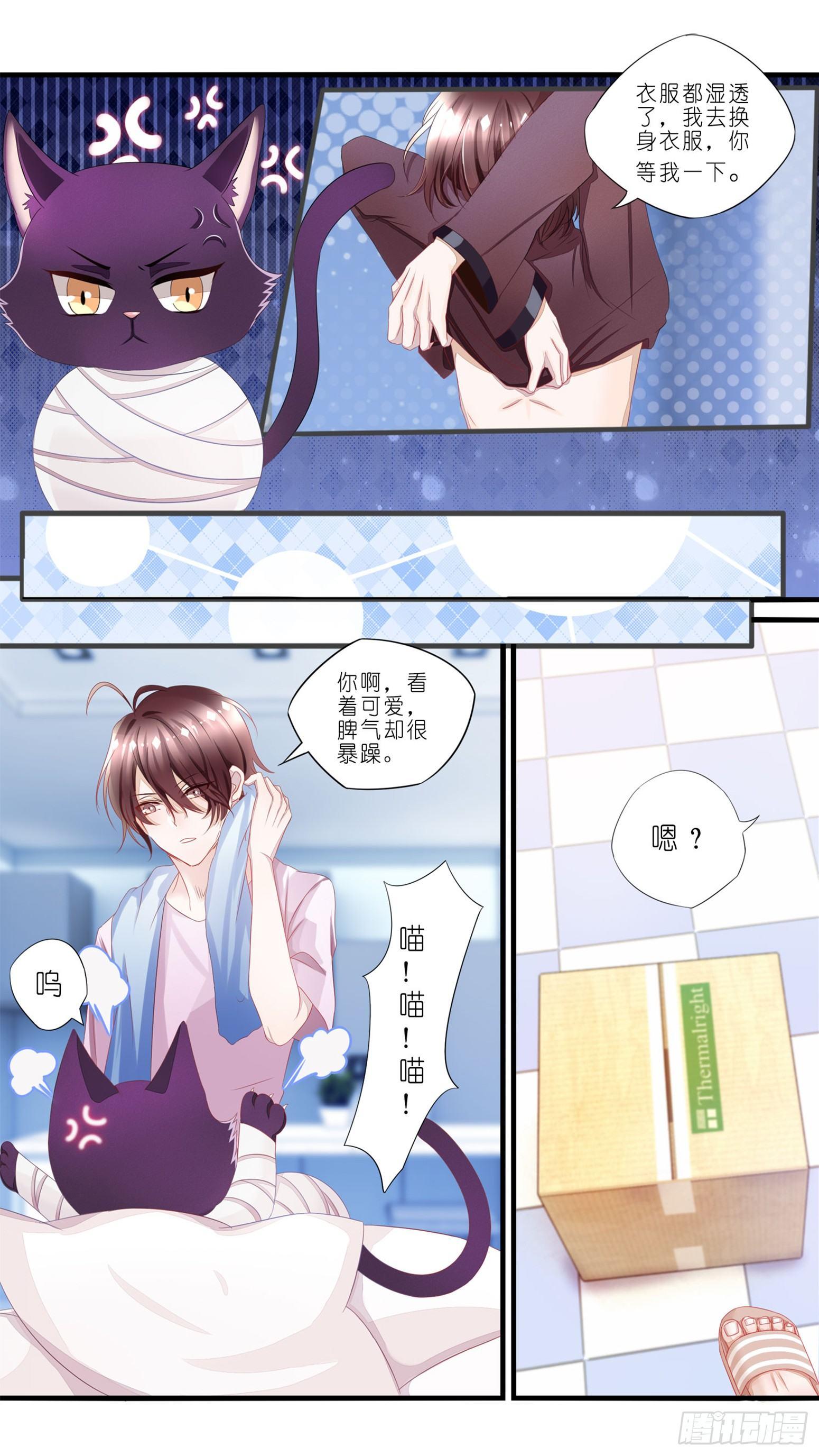 01 天降猫咪-第2话