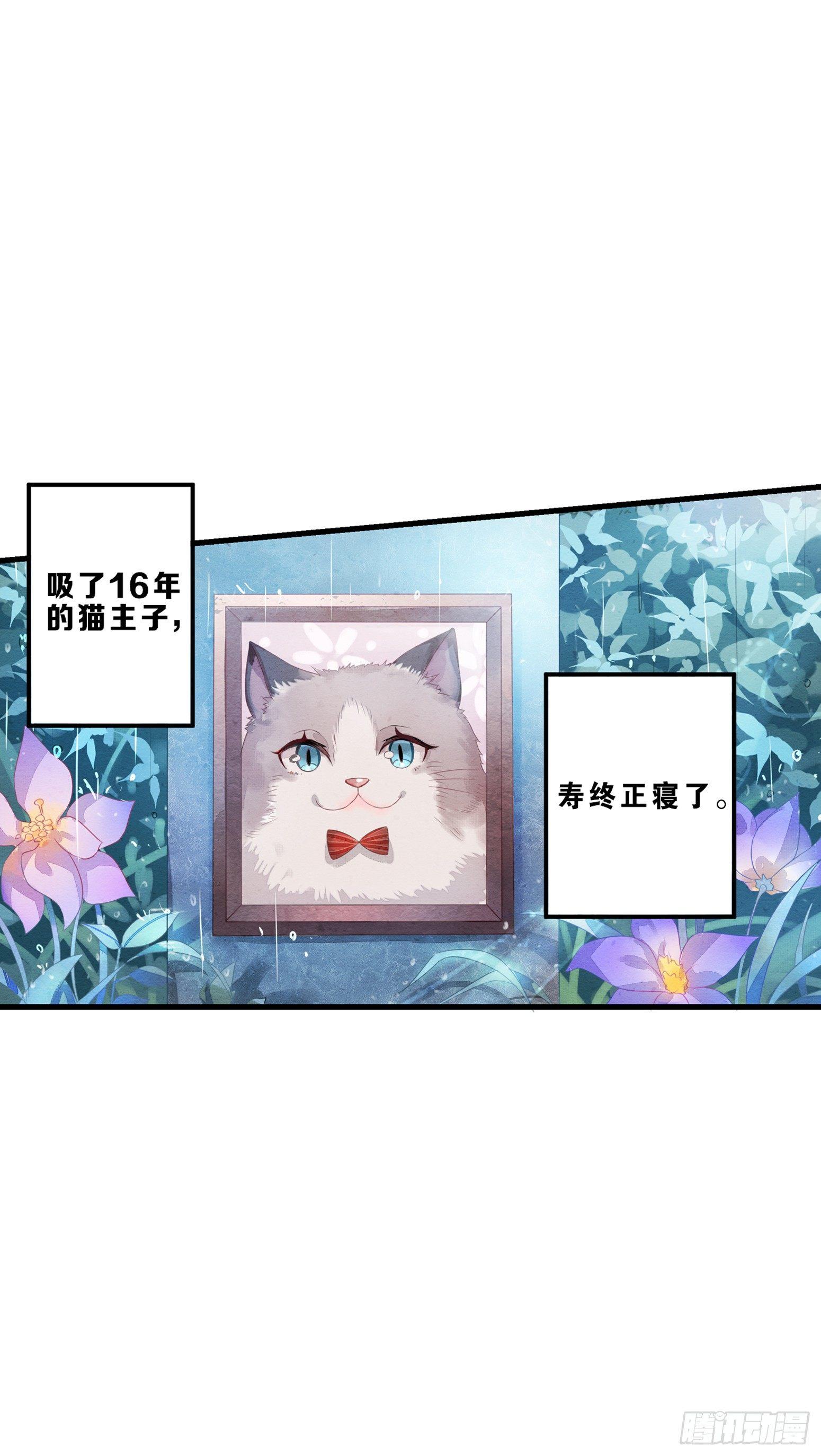 01 天降猫咪-第2话